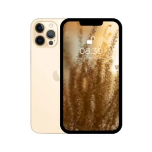 Apple iPhone 12 Pro Max